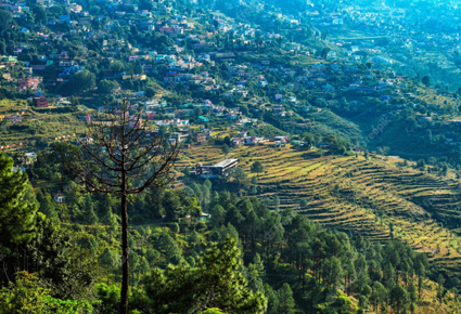 Vacation in Uttarakhand