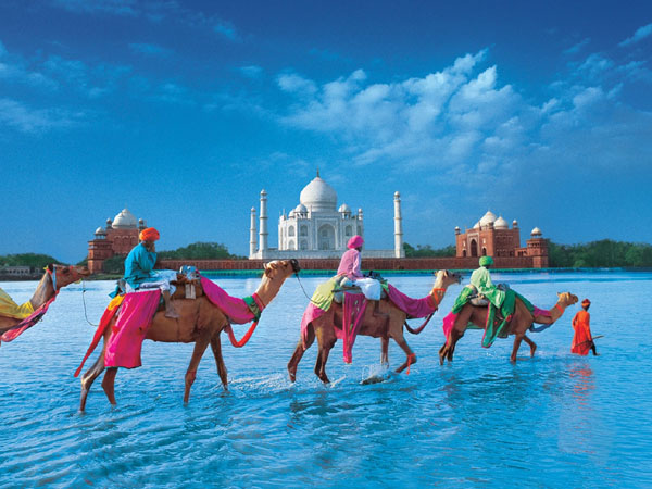 Incredibal India Package