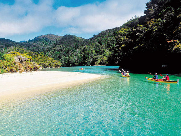 New Zealand Tours and Travels Service provider