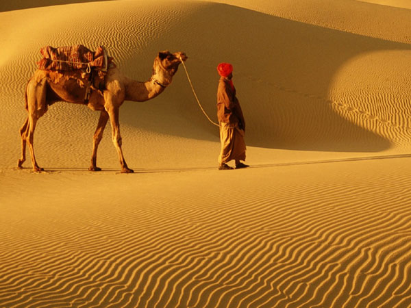 Rajasthan Holiday Package