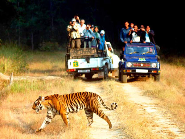 Rajasthan Tours and Travels Service provider