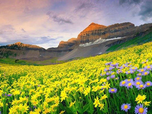 Uttaranchal Package Tour from Thane Mumbai.